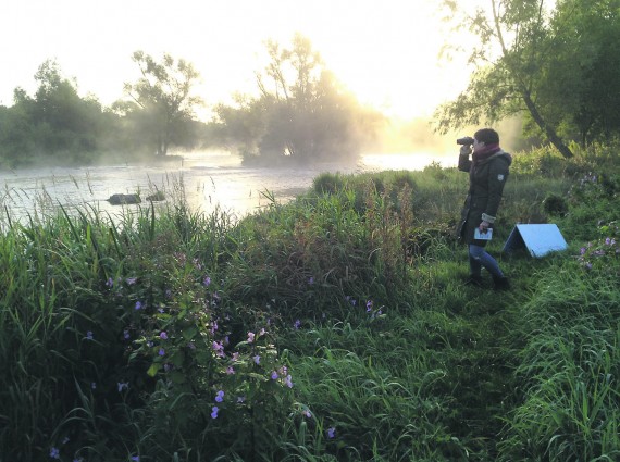 Alaine Ni Laoi recording wildlife on UL’s beautiful campus. Photo: Liz Gabbett